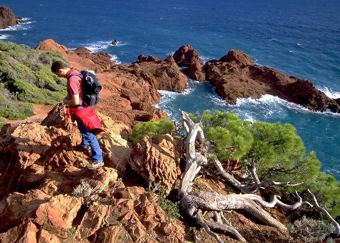D'hotes La Potiniere Отель типа 